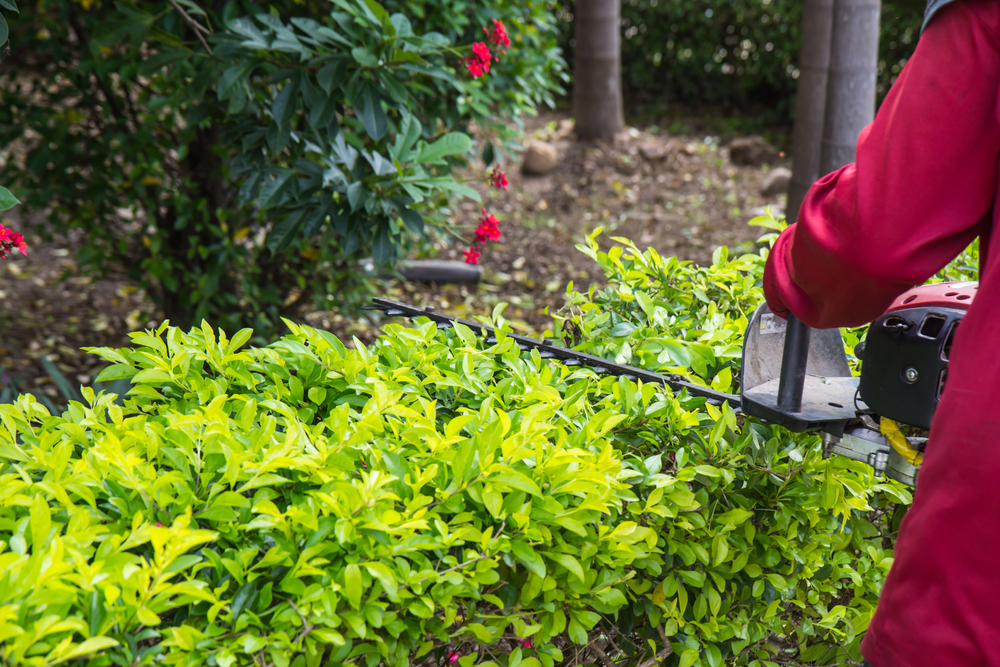 Professional crew mowing a property
